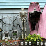 coffins and skeletons